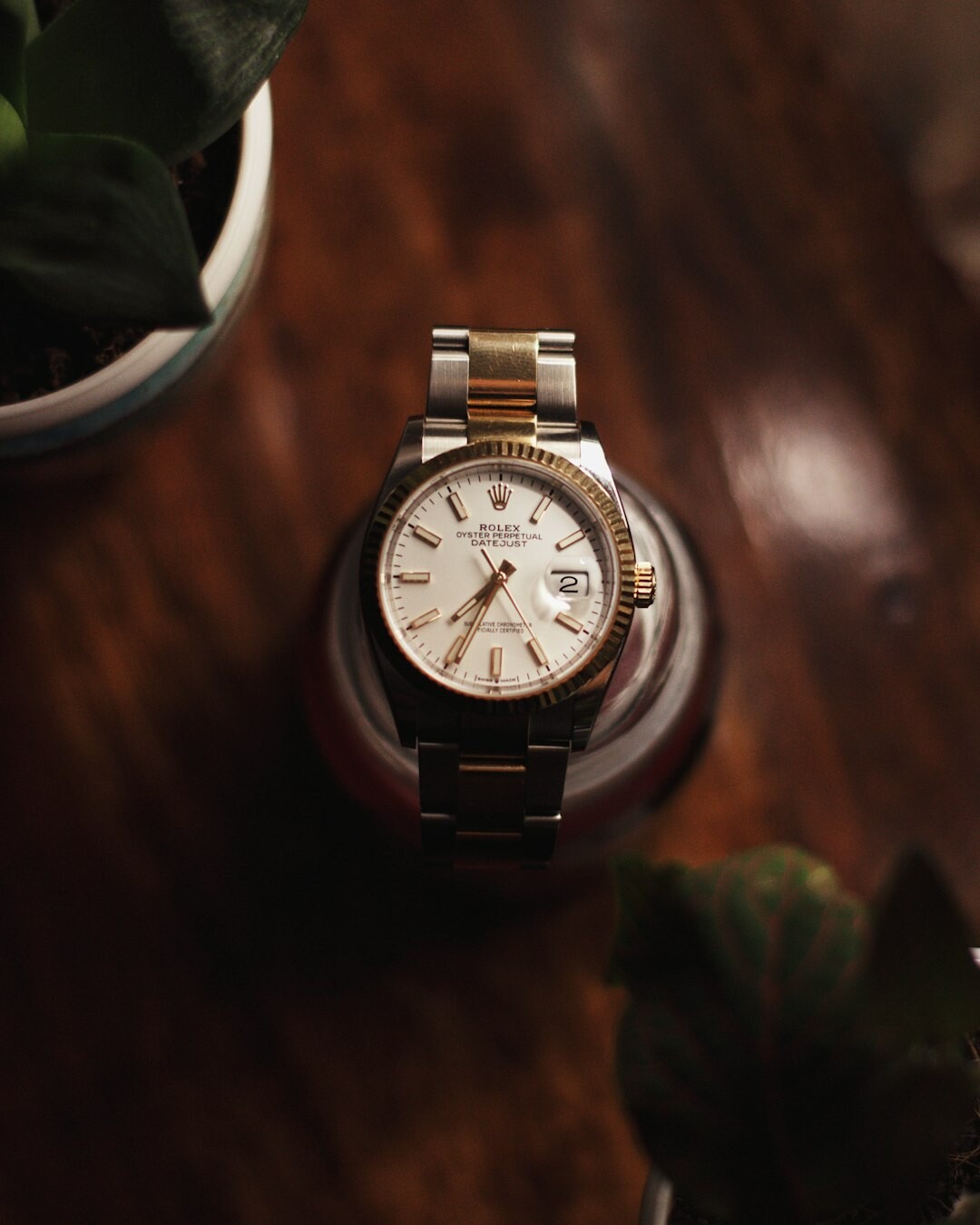 sustainable luxury watch